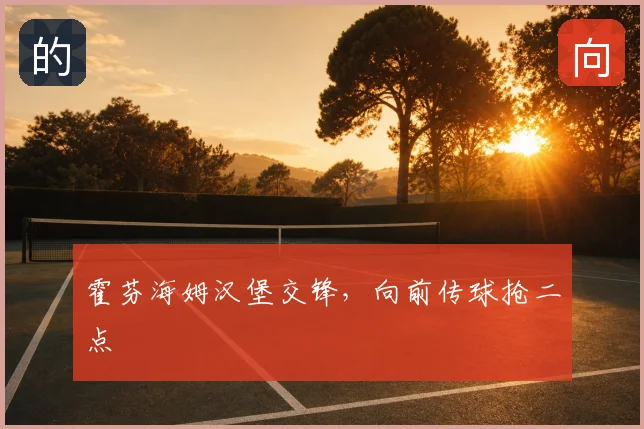 霍芬海姆汉堡交锋，向前传球抢二点